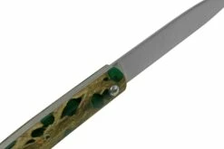 Laguiole En Aubrac Capucin Green Cholla Cactus L0510CCVI Bois De Cactus, Couteau De Poche, 10 Cm -KNIVESANDTOOLS Magasin AUL0510CCVI 06 laguioleaubrac