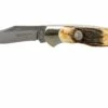 Böker Junior Scout Stag - 111910, Couteau De Poche 2 Böker Junior Scout Stag - 111910, Couteau De Poche -KNIVESANDTOOLS Magasin BO111910 01 boker