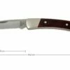 Buck 503 Prince 0503RWS-B, Bois De Rose -KNIVESANDTOOLS Magasin BUCK0503RWS B 01 buck 503 prince knife buck0503rws b 01
