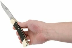 Buck 110 Folding Hunter -KNIVESANDTOOLS Magasin Buck 110 08 buck v201902