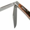 Case HT Trapper, Chestnut Bone, 154CM, Peach Seed Jig, 10770, TB622021 Couteau De Poche, Tony Bose Design -KNIVESANDTOOLS Magasin CE10770 01 case
