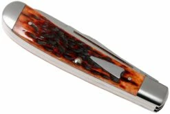 Case HT Trapper, Chestnut Bone, 154CM, Peach Seed Jig, 10770, TB622021 Couteau De Poche, Tony Bose Design -KNIVESANDTOOLS Magasin CE10770 04 case