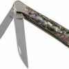 Case Copperhead Abalone, 12023, 8249W SS Couteau De Poche, Coffret Cadeau -KNIVESANDTOOLS Magasin CE12023 01 case