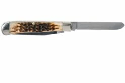 Case Trapper Amber Jigged Bone, 00163, 6254 CV Couteau De Poche 13 Case Trapper Amber Jigged Bone, 00163, 6254 CV Couteau De Poche -KNIVESANDTOOLS Magasin CE163 03 case ce163 03
