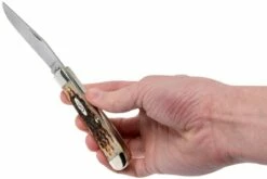 Case Trapper Amber Jigged Bone, 00163, 6254 CV Couteau De Poche 19 Case Trapper Amber Jigged Bone, 00163, 6254 CV Couteau De Poche -KNIVESANDTOOLS Magasin CE163 09 case ce163 09