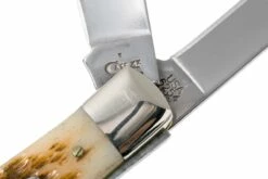 Case Trapper Amber Jigged Bone, 00164, 6254 SS Couteau De Poche -KNIVESANDTOOLS Magasin CE164 06 case ce164 06