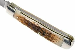 Case Trapper Amber Jigged Bone, 00164, 6254 SS Couteau De Poche -KNIVESANDTOOLS Magasin CE164 07 case ce164 07