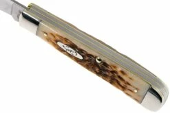 Case Trapper Amber Jigged Bone, 00164, 6254 SS Couteau De Poche -KNIVESANDTOOLS Magasin CE164 08 case ce164 08