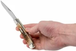 Case Trapper Amber Jigged Bone, 00164, 6254 SS Couteau De Poche -KNIVESANDTOOLS Magasin CE164 09 case ce164 09