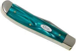 Case Mini Trapper Aqua Kirinite SparXX, 18587, 10207 SS Couteau De Poche -KNIVESANDTOOLS Magasin CE18587 04 case