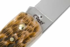 Case Sod Buster Jr Amber Jigged Bone, 00245, 6137 SS Couteau De Poche 17 Case Sod Buster Jr Amber Jigged Bone, 00245, 6137 SS Couteau De Poche -KNIVESANDTOOLS Magasin CE245 07 case ce245 07