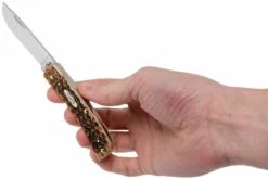 Case Sod Buster Jr Amber Jigged Bone, 00245, 6137 SS Couteau De Poche 19 Case Sod Buster Jr Amber Jigged Bone, 00245, 6137 SS Couteau De Poche -KNIVESANDTOOLS Magasin CE245 09 case ce245 09