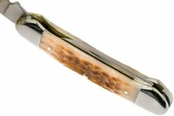 Case Canoe Amber Jigged Bone, 00263, 62131 CV Couteau De Poche 19 Case Canoe Amber Jigged Bone, 00263, 62131 CV Couteau De Poche -KNIVESANDTOOLS Magasin CE263 08 case ce263 08