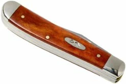 Case Mini Trapper Smooth Chestnut Bone, 28700, 6207 SS Couteau De Poche 15 Case Mini Trapper Smooth Chestnut Bone, 28700, 6207 SS Couteau De Poche -KNIVESANDTOOLS Magasin CE28700 05 case ce28700 05