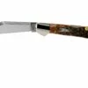 Case Mini Copperlock Brown Bone, Peach Seed Jig, 42655, 61749L SS Couteau De Poche -KNIVESANDTOOLS Magasin CE42655 01 case