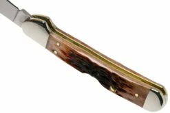 Case Mini Copperlock Brown Bone, Peach Seed Jig, 42655, 61749L SS Couteau De Poche -KNIVESANDTOOLS Magasin CE42655 04 case