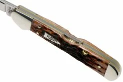 Case Mini Copperlock Brown Bone, Peach Seed Jig, 42655, 61749L SS Couteau De Poche -KNIVESANDTOOLS Magasin CE42655 05 case