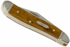 Case Peanut Smooth Antique Bone 58201, 6220 SS Couteau De Poche -KNIVESANDTOOLS Magasin CE58201 04 case