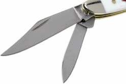 Case Peanut Sparxx White Synthetic, 60188, 6220 SS Couteau De Poche 15 Case Peanut Sparxx White Synthetic, 60188, 6220 SS Couteau De Poche -KNIVESANDTOOLS Magasin CE60188 04 case ce60188 04