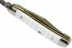 Case Peanut Sparxx White Synthetic, 60188, 6220 SS Couteau De Poche 19 Case Peanut Sparxx White Synthetic, 60188, 6220 SS Couteau De Poche -KNIVESANDTOOLS Magasin CE60188 08 case ce60188 08