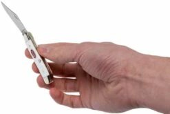 Case Peanut Sparxx White Synthetic, 60188, 6220 SS Couteau De Poche 21 Case Peanut Sparxx White Synthetic, 60188, 6220 SS Couteau De Poche -KNIVESANDTOOLS Magasin CE60188 10 case ce60188 10