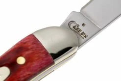 Case Small Texas Toothpick Pocket Worn Old Red Bone 00792 610096 SS Couteau 14 Case Small Texas Toothpick Pocket Worn Old Red Bone 00792 610096 SS Couteau -KNIVESANDTOOLS Magasin CE792 05 case ce792 05