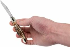 Case Stockman Amber Jigged Bone, 00079, 63032 CV Couteau De Poche -KNIVESANDTOOLS Magasin CE79 11 case ce79 11