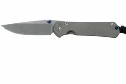 Chris Reeve Small Sebenza 31 Plain Drop Point