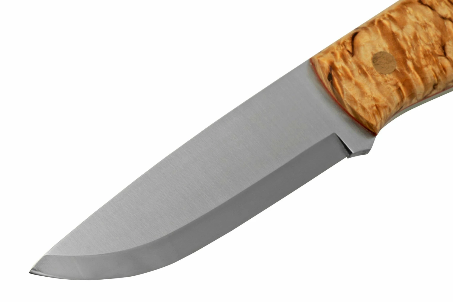 Brisa Trapper 95, N690Co Scandi, Stabilized Curly Birch, Couteau Fixe 5 Brisa Trapper 95, N690Co Scandi, Stabilized Curly Birch, Couteau Fixe – Image 3