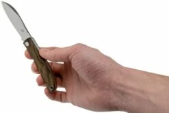 Fox Knives Livri FX-273ZW Zircote Couteau De Poche Slipjoint -KNIVESANDTOOLS Magasin FOFX 273ZW 08 fox knives