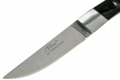 Le Thiers Nature Buffle Brut T7BB Couteau De Poche Par Fontenille Pataud 13 Le Thiers Nature Buffle Brut T7BB Couteau De Poche Par Fontenille Pataud -KNIVESANDTOOLS Magasin FPT7BB 03 fontenille pataud