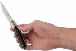 Le Thiers Pocket Buffle Brut T8BB Couteau De Poche Par Fontenille Pataud 18 Le Thiers Pocket Buffle Brut T8BB Couteau De Poche Par Fontenille Pataud -KNIVESANDTOOLS Magasin FPT8BB 08 fontenille pataud