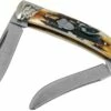 Rough Ryder Small Moose Cinnamon Stag RR2157 Damascus Slipjoint Couteau De Poche 1 Rough Ryder Small Moose Cinnamon Stag RR2157 Damascus Slipjoint Couteau De Poche -KNIVESANDTOOLS Magasin RY2157 01 rough ryder