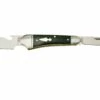 Rough Ryder Reserve Cap Lifter Folder RRR004, Couteau De Poche Slipjoint -KNIVESANDTOOLS Magasin RYR004 01 roughryder