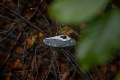Spyderco Byrd Meadowlark 2 Gris BY04PGY2 Couteau De Poche -KNIVESANDTOOLS Magasin SPBY04PGY2 20 sfeerfoto