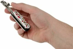 Victorinox NailClip 580 Edelweiss 0.6463.840 Couteau Suisse -KNIVESANDTOOLS Magasin VT0 6463 840 06 victorinox